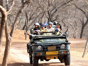Jhalana Leopard Safari